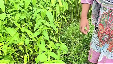 I took the beautiful village girl to the jute field and fucked her.