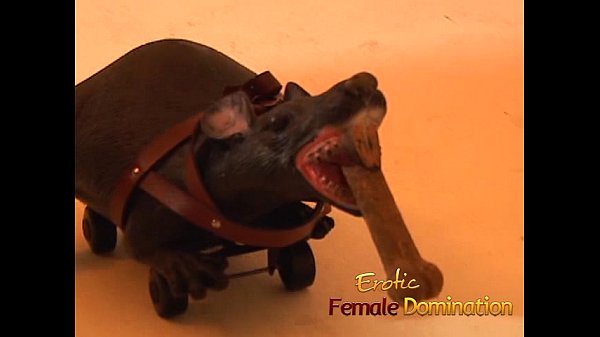 Download Video - Raunchy blonde Cat Cleavage pleasures a well-hung stud&rsquo;s thick shaft