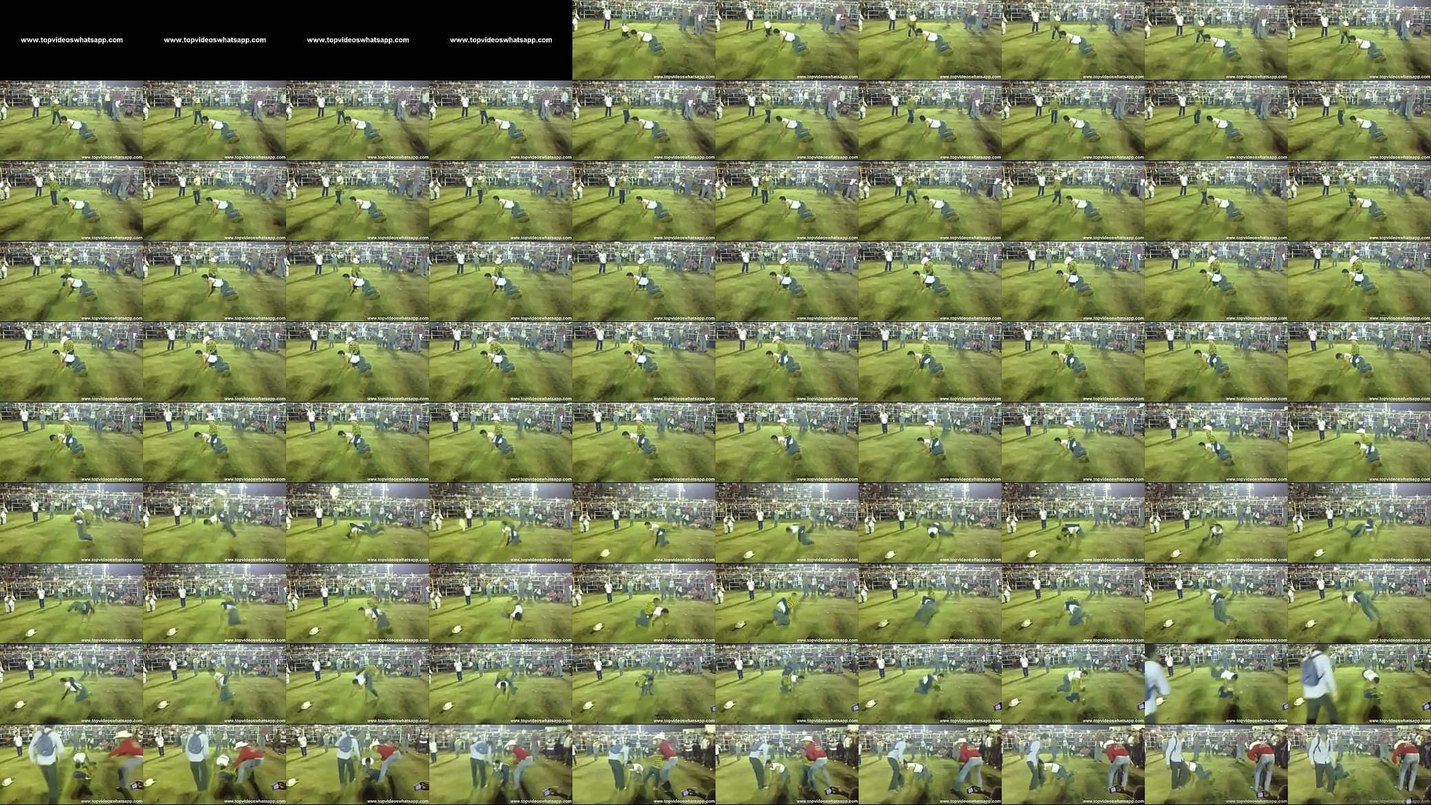 Videos do Whatsapp - Rodeio sem TOURO 预览图