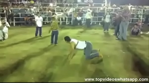 Whatsapp Videos - Rodeo without TAURUS