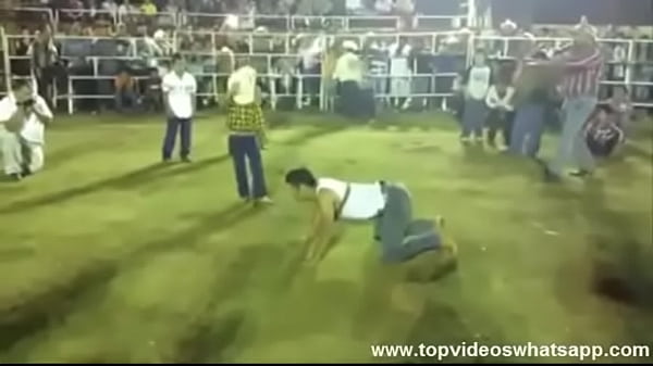 Whatsapp Videos - Rodeo without TAURUS
