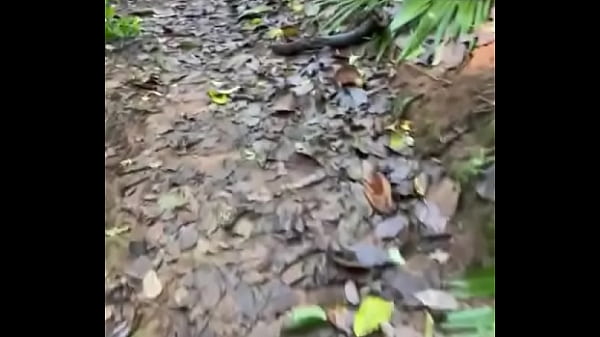 7 dias de muita paz e amor em Terra Una