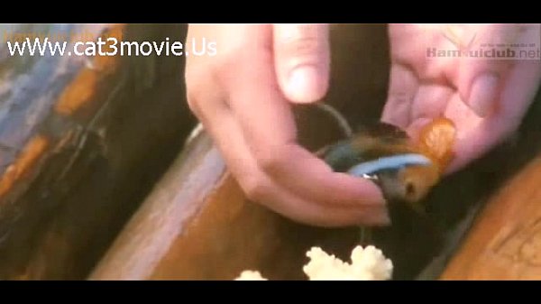 Download Video - EroGhoSto2