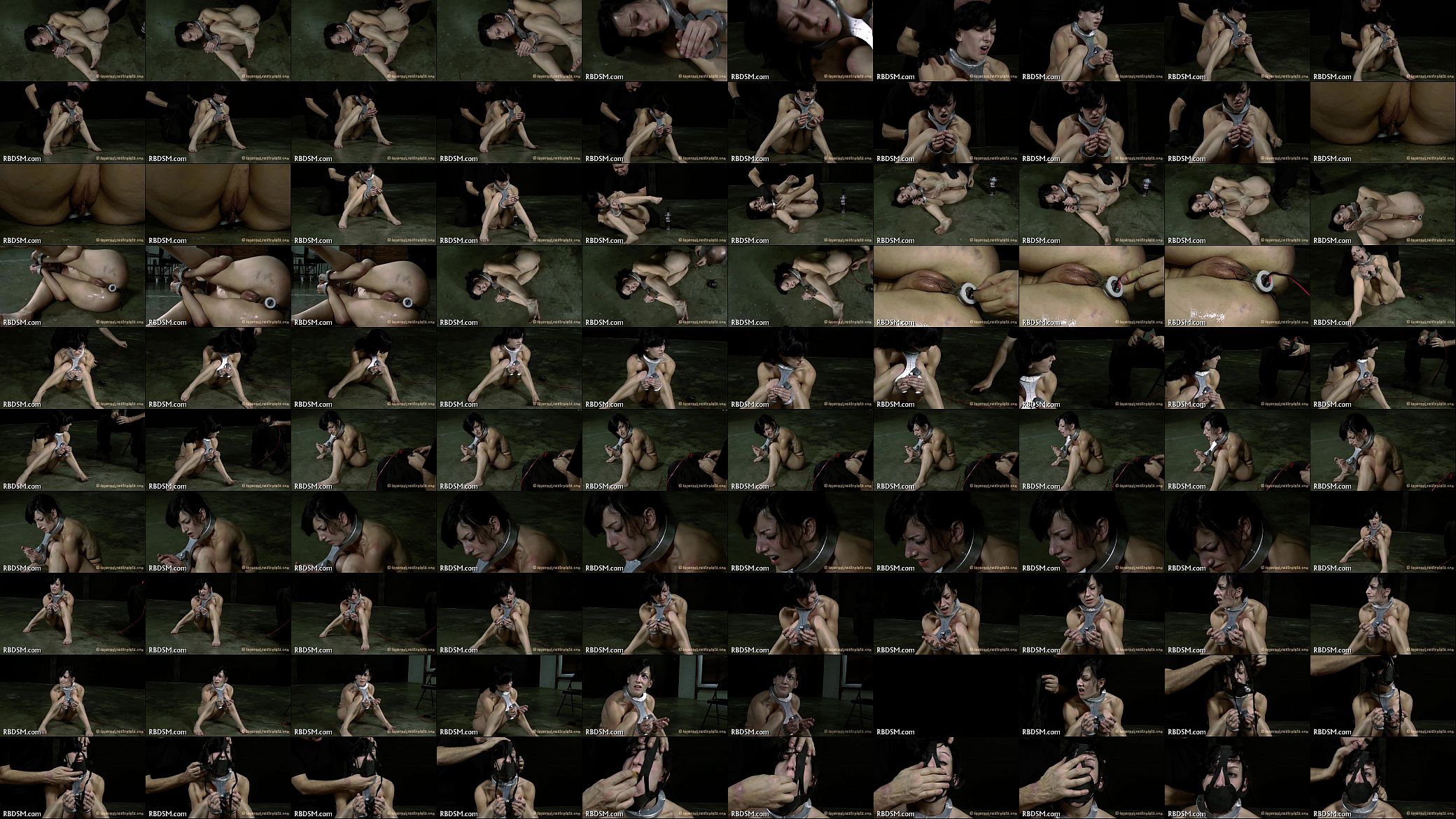 p. sadomasochism 预览图