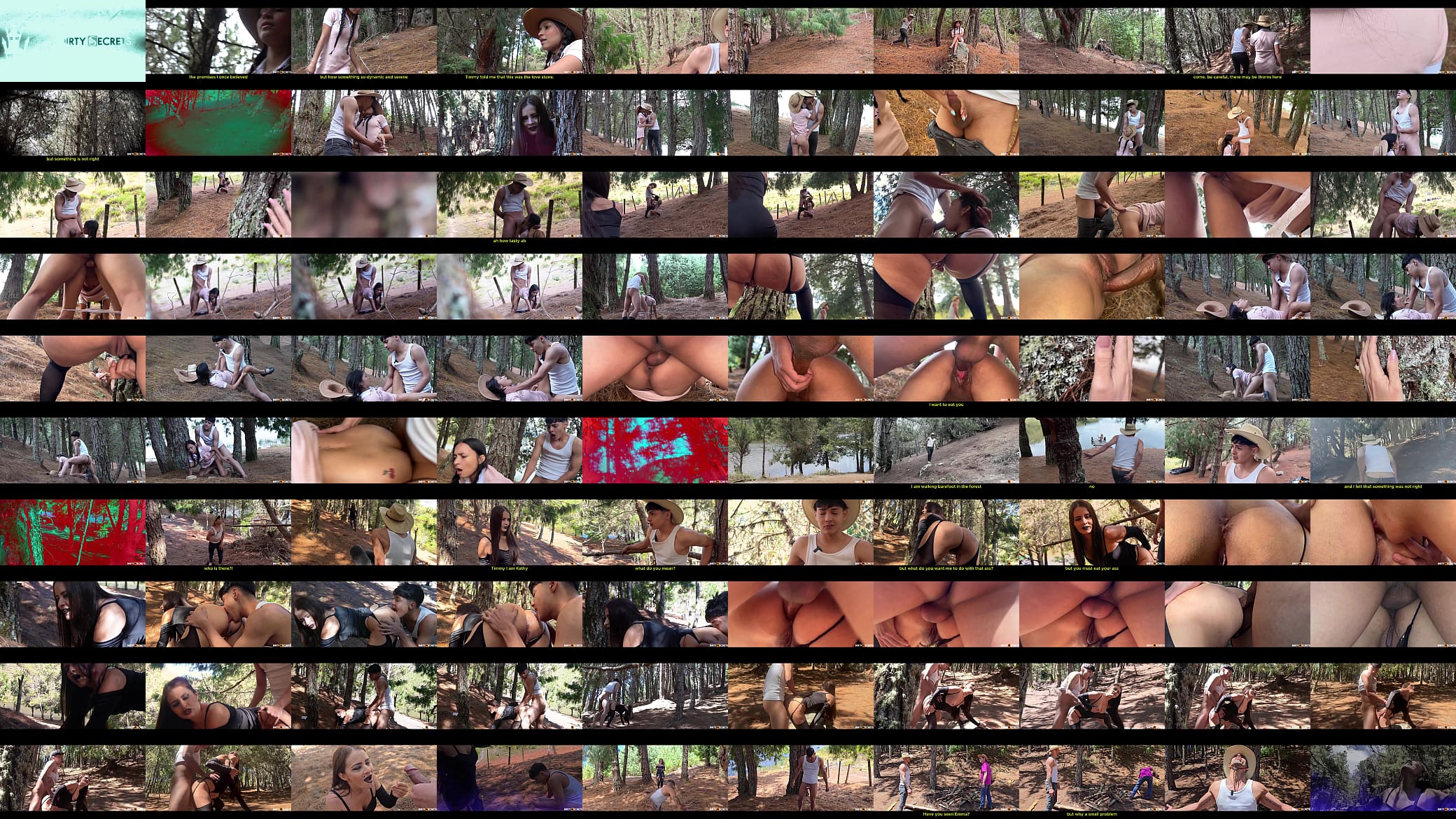 I FUCK MY STEPSISTER AND A STRANGER IN THE FOREST 预览图