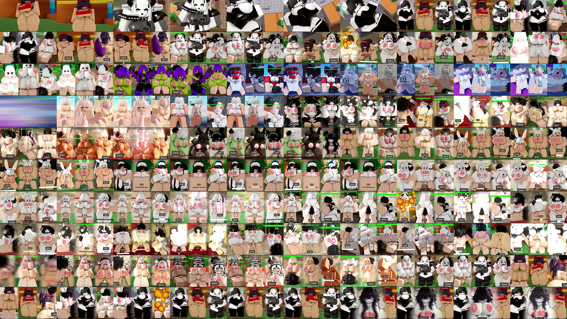 Verification video 预览图