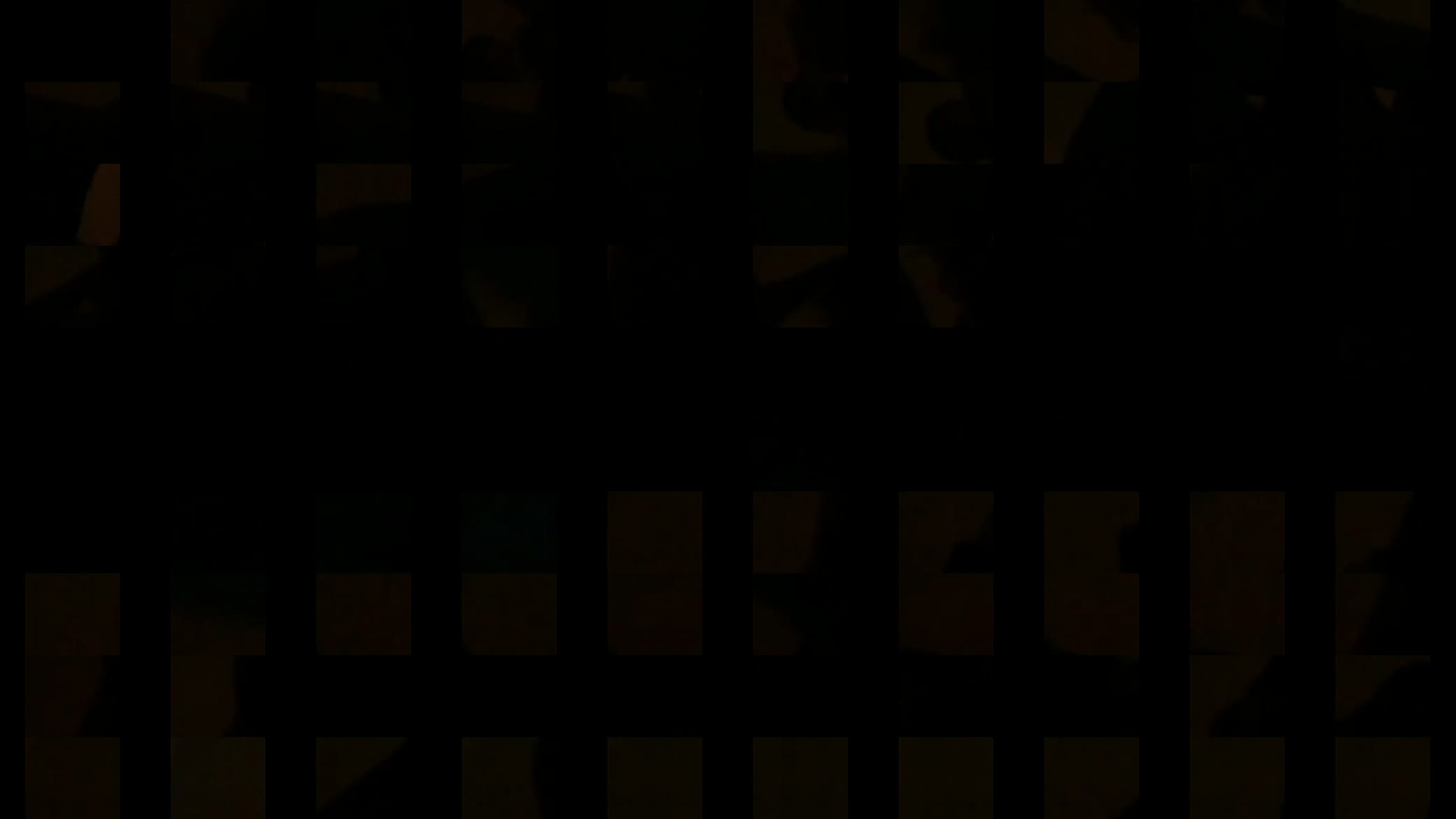 video:462 预览图