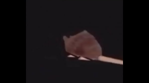 horizontally spinning rat