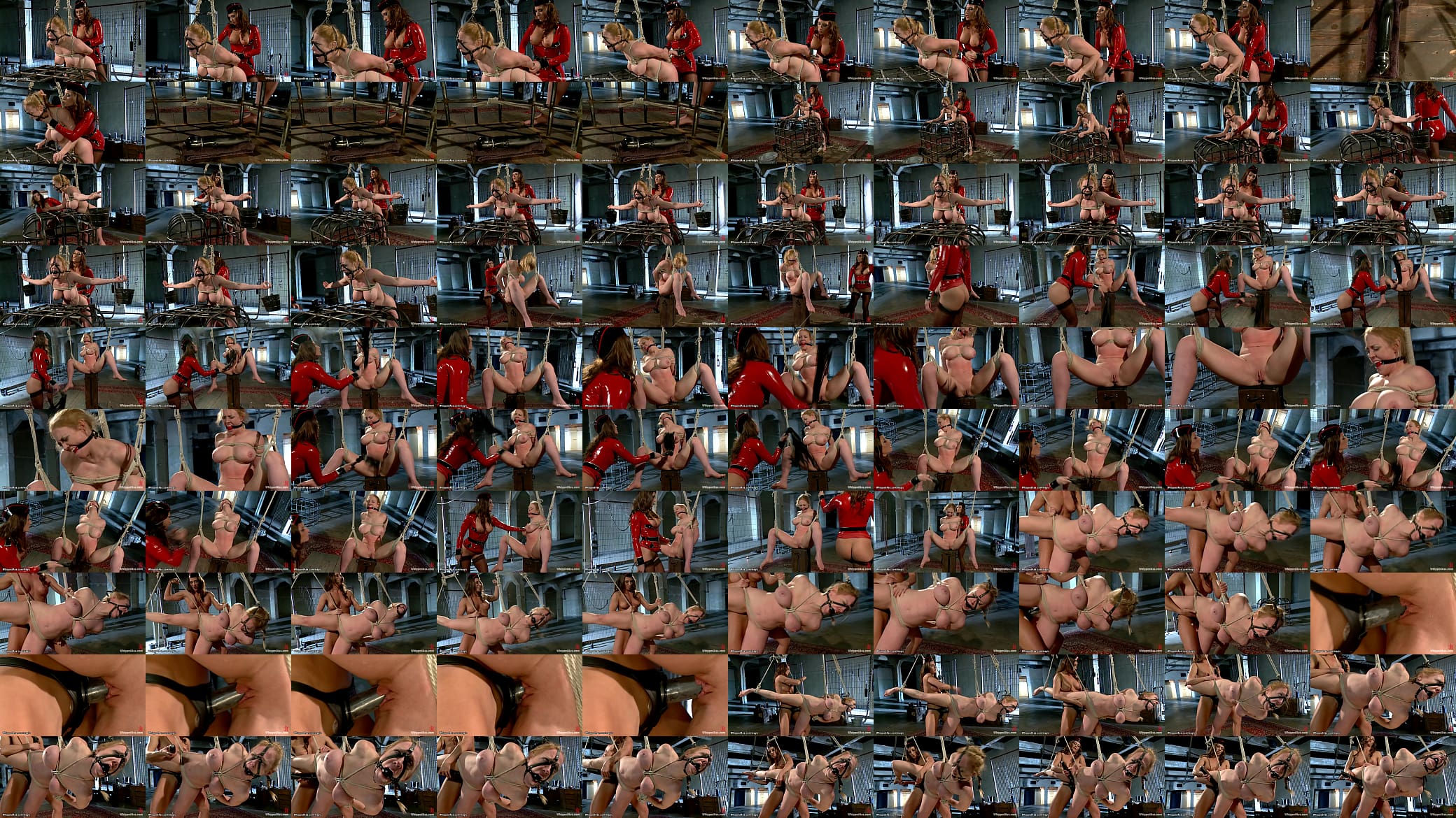 Bound huge boobs MILF rough whipped 预览图