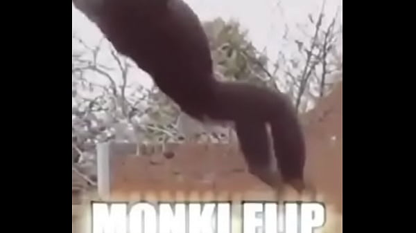 Gostosa de quatro indo piroca