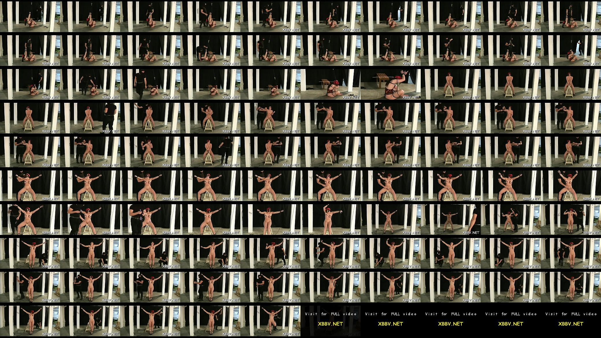 Busty female sexy bondage 预览图