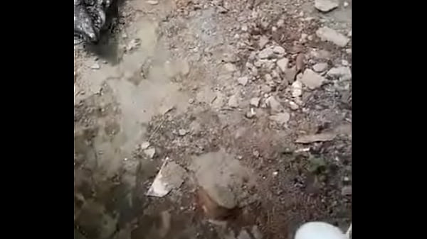 Video de verificação