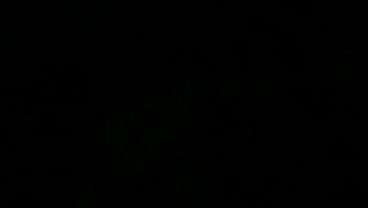 WORTH THE WAIT - BUSTY BEXX AMD MR MAJIC