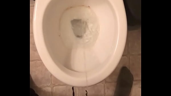 Download Video - Pissing In Toilet after frustrating day