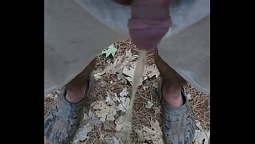 Morning piss on the farm