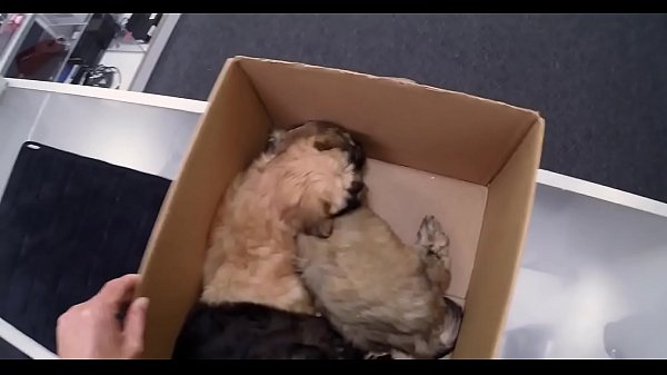 Sweet reality playgirl is sucking