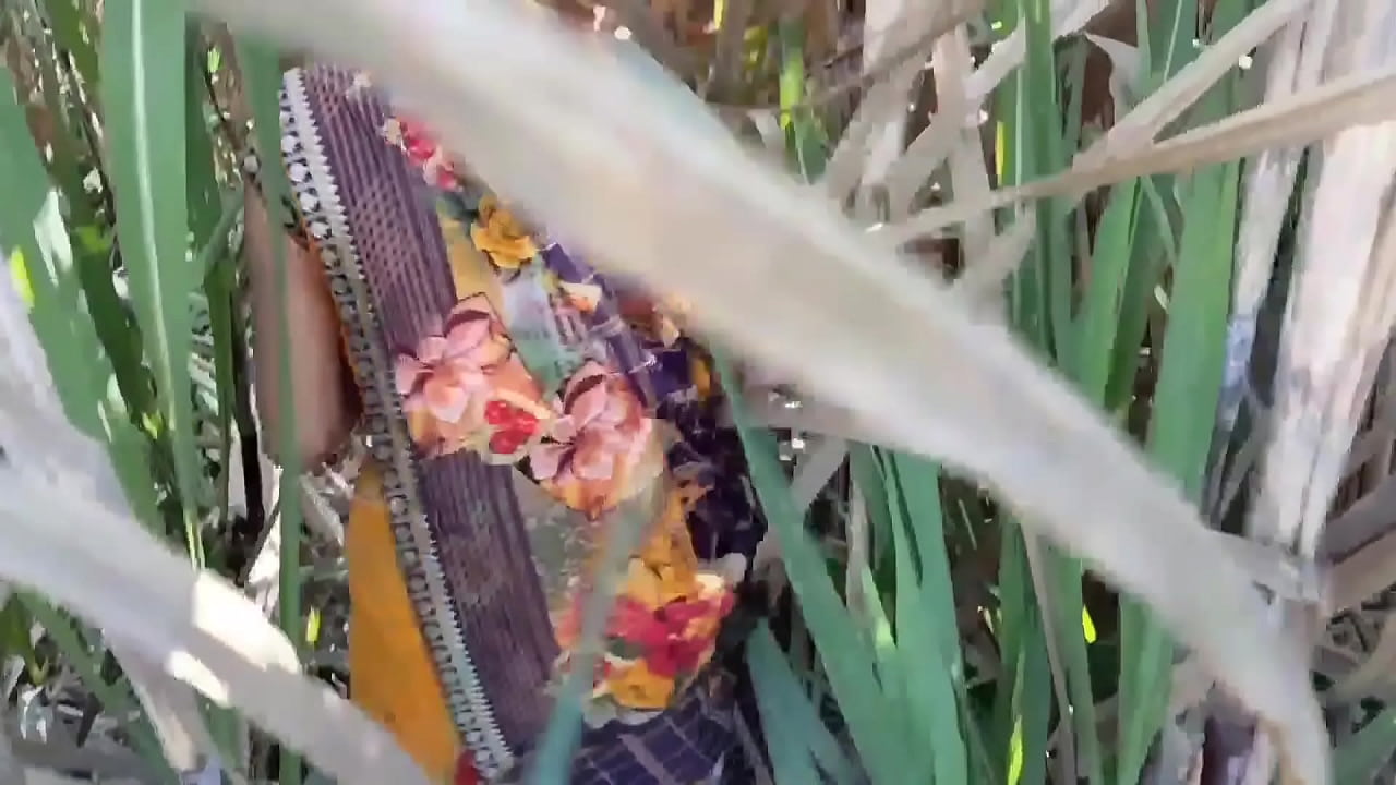 Zoya Bhabhi took the fat black Lund of a non-male in her ass for the first time and banged it with great pleasure!