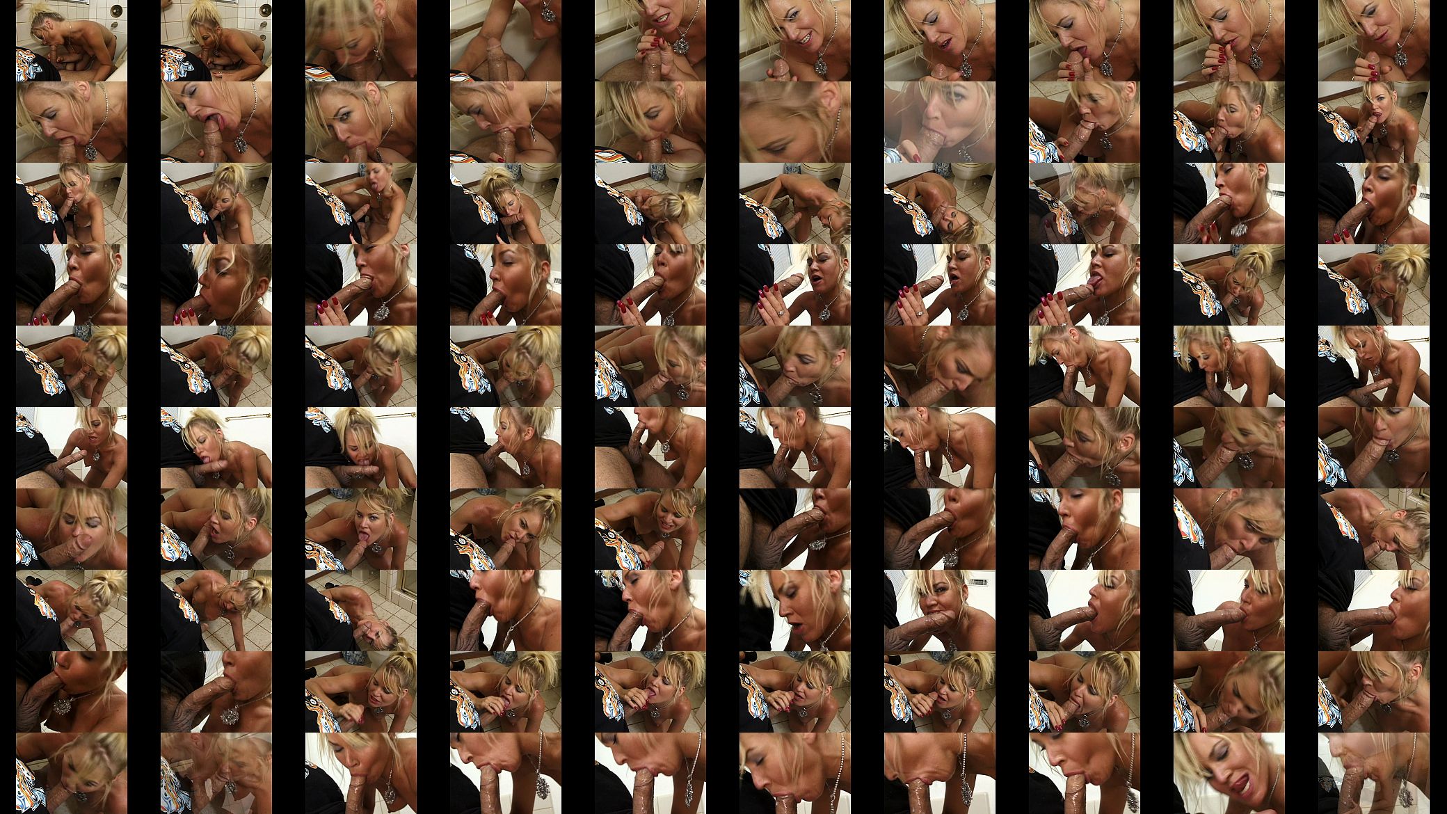 Metro - Blowjobs Fantasies 07 - scene 12 - extract 1 预览图