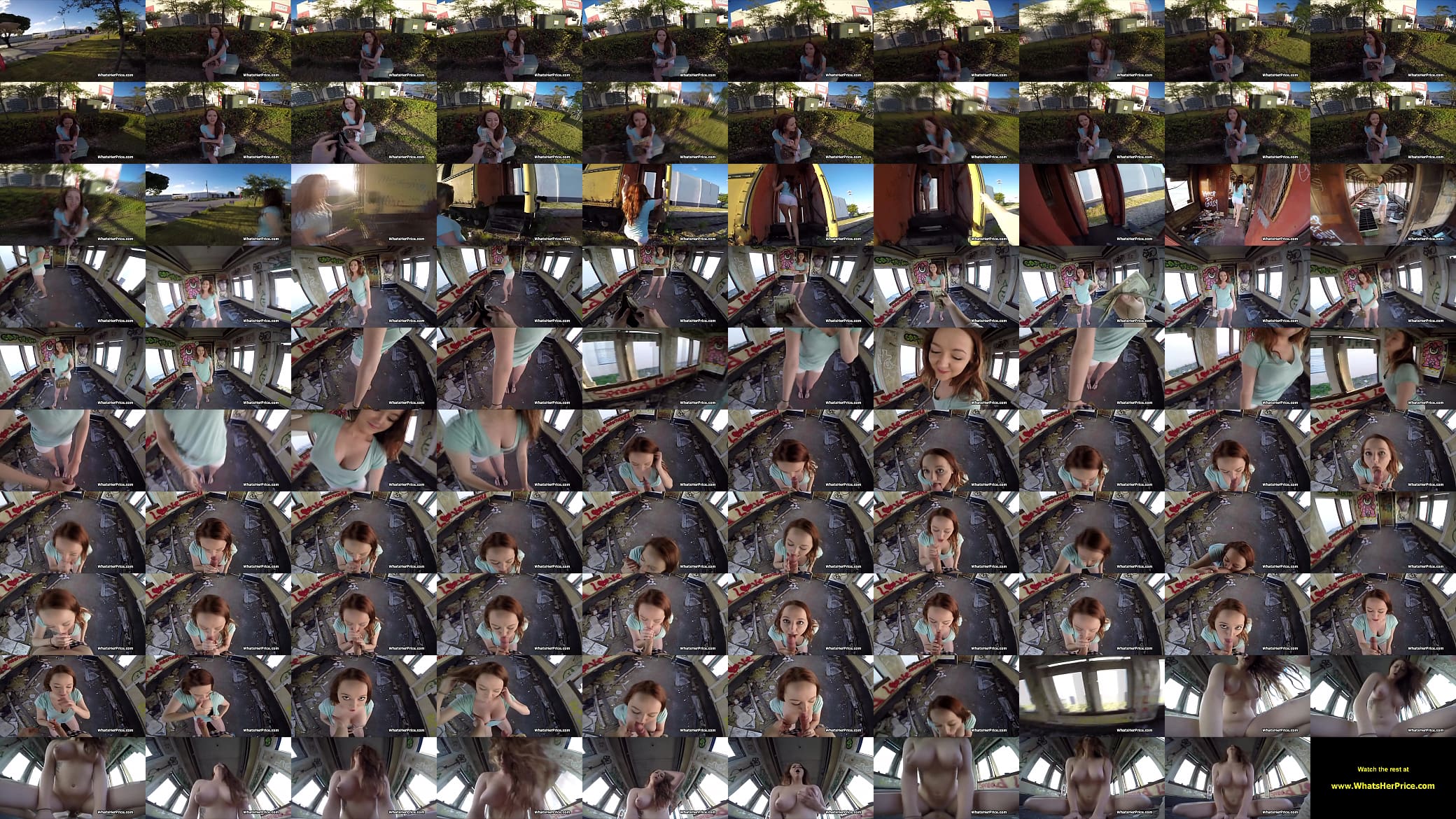 Broke redhead rides me in old railcar for some extra money 预览图