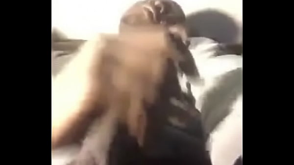 Ein Nigerianischer Junge Spritzt Heftig Ab, Während Er Masturbiert