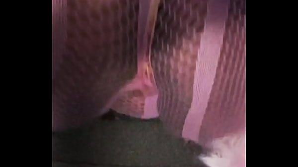 Fishnets All Pink Pussy and Ass