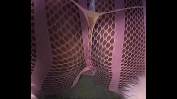 Fishnets All Pink Pussy and Ass