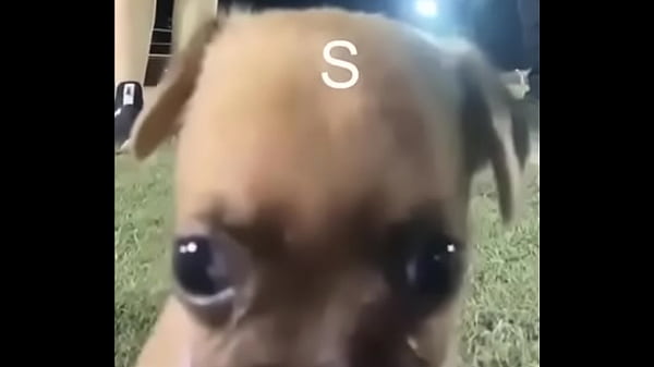 _
