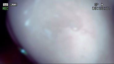 Cumlobian Dickdrainers - SEASON FOUR - POV PREP 3some WORK