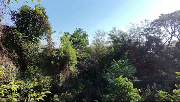 Fudendo no Morro Branco de frente pro mar - Alemaohub