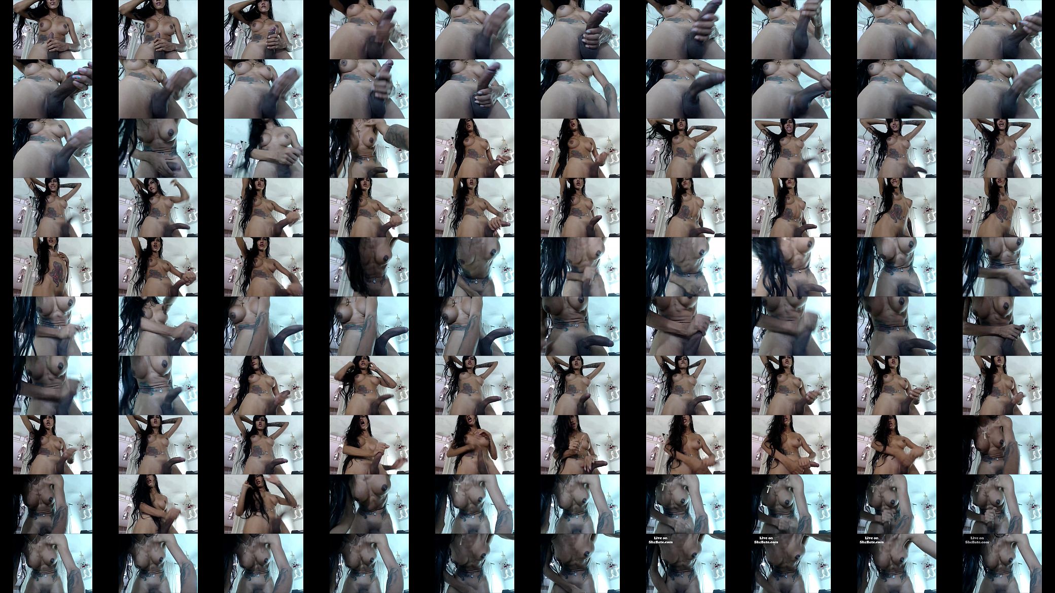 Shemale Babe With Big Tits Masturbating Hard 预览图