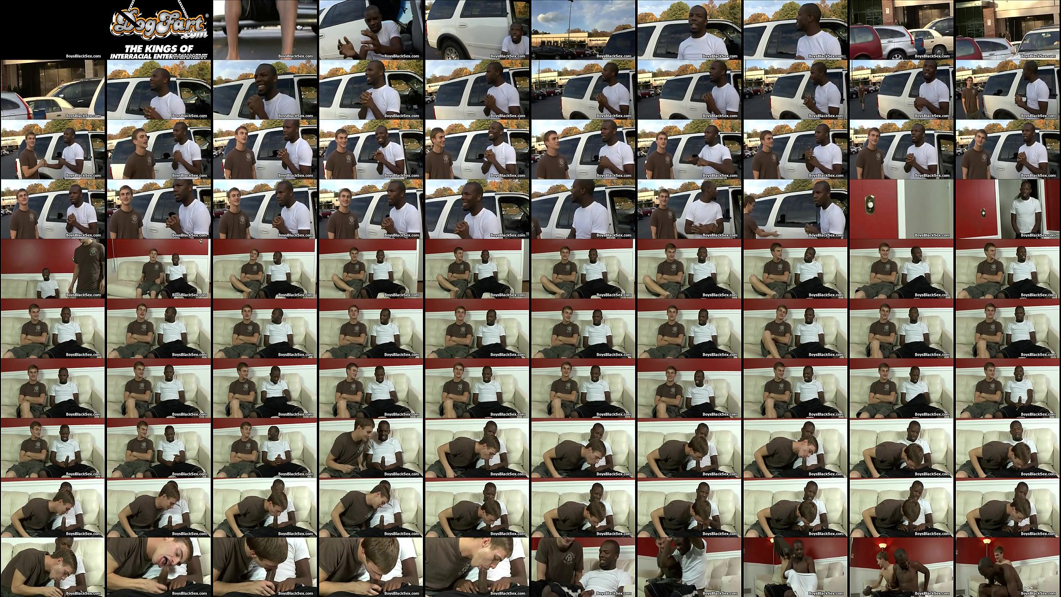 Black Muscular Gay Dude Fuck White Sexy Boy 03 预览图