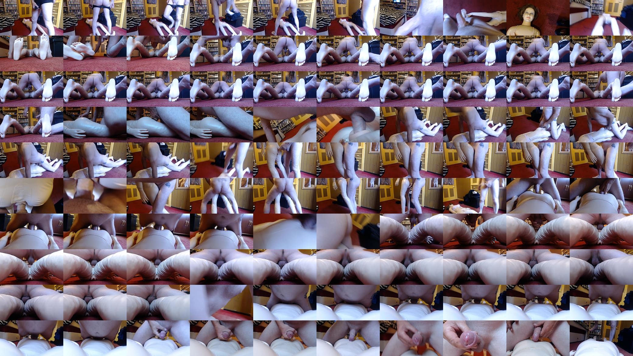 Sex with Sex Doll and Cum Shot 预览图