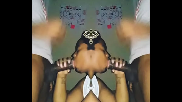 bonnet head