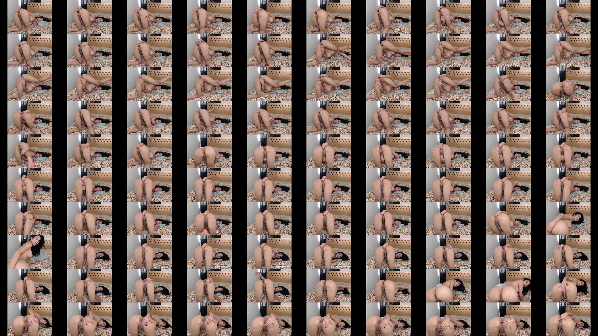 Latina TS Bombshell Virbating Her Delicious Ass 预览图