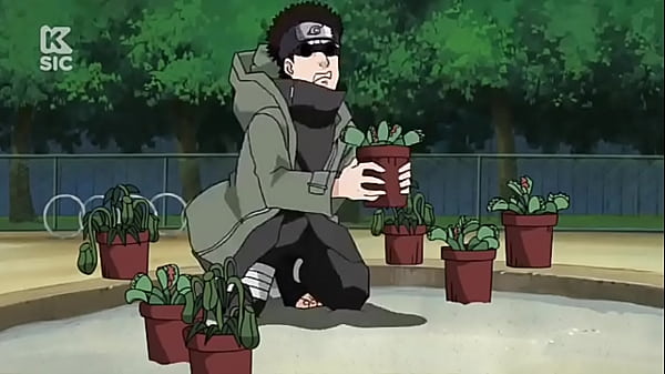 Hentai naruto dublado