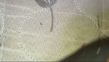 Metendo no cuzinho