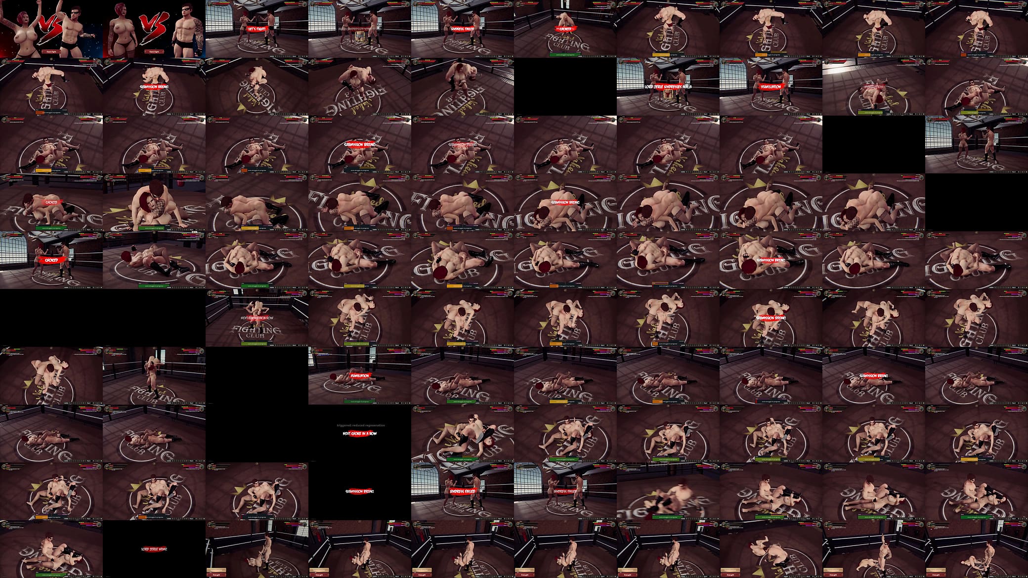 Alicia VS Lord Jerle (Naked Fighter 3D) 预览图