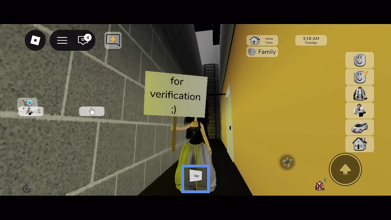 Verification video