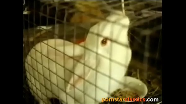 Download Video - Young babe Desiree West fucked hardcore at the farm in 1977