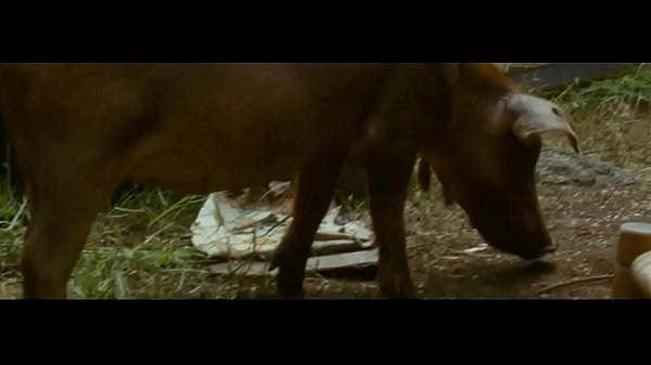 Download Video - The Paperboy &lpar;2012&rpar; - Nicole Kidman