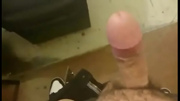 Riche Paille Quito Grassouillet Au Travail