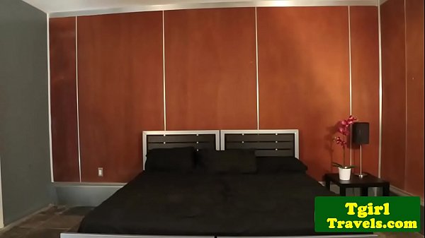 Download Video - Tattooed shemale babe gets her ass banged