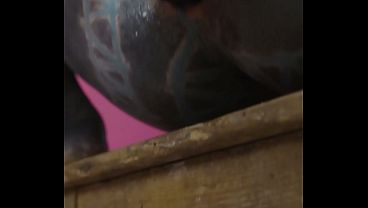 Anal Stretching, Gape in Work Clothes Squirt and Paint