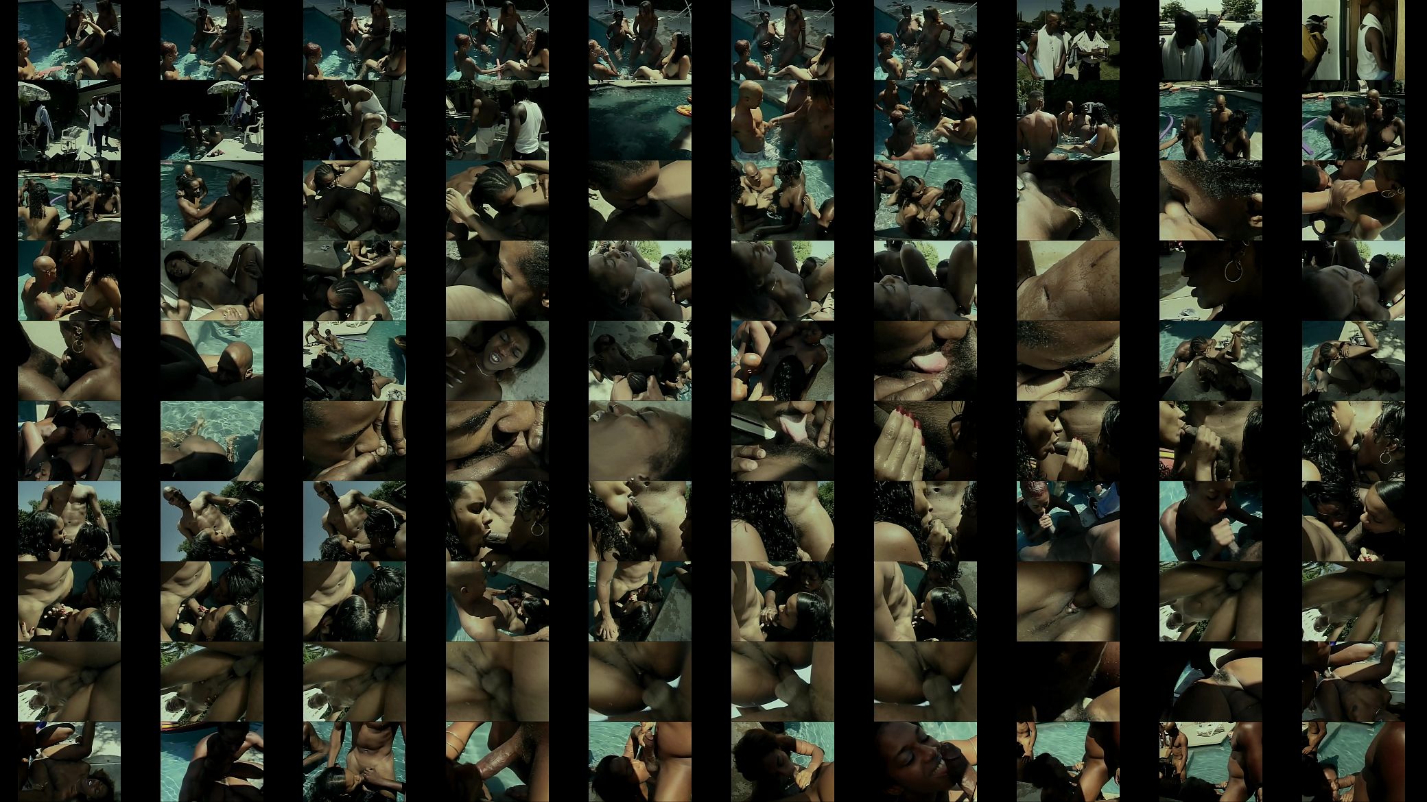A pool party turns into a hardcore fuck orgy 预览图