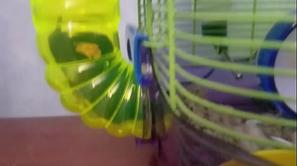 Chubby FtM trans boy pees in diaper