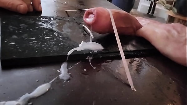 Cock v Boxer 2