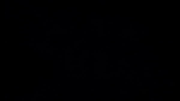 Video x&aacute;c minh