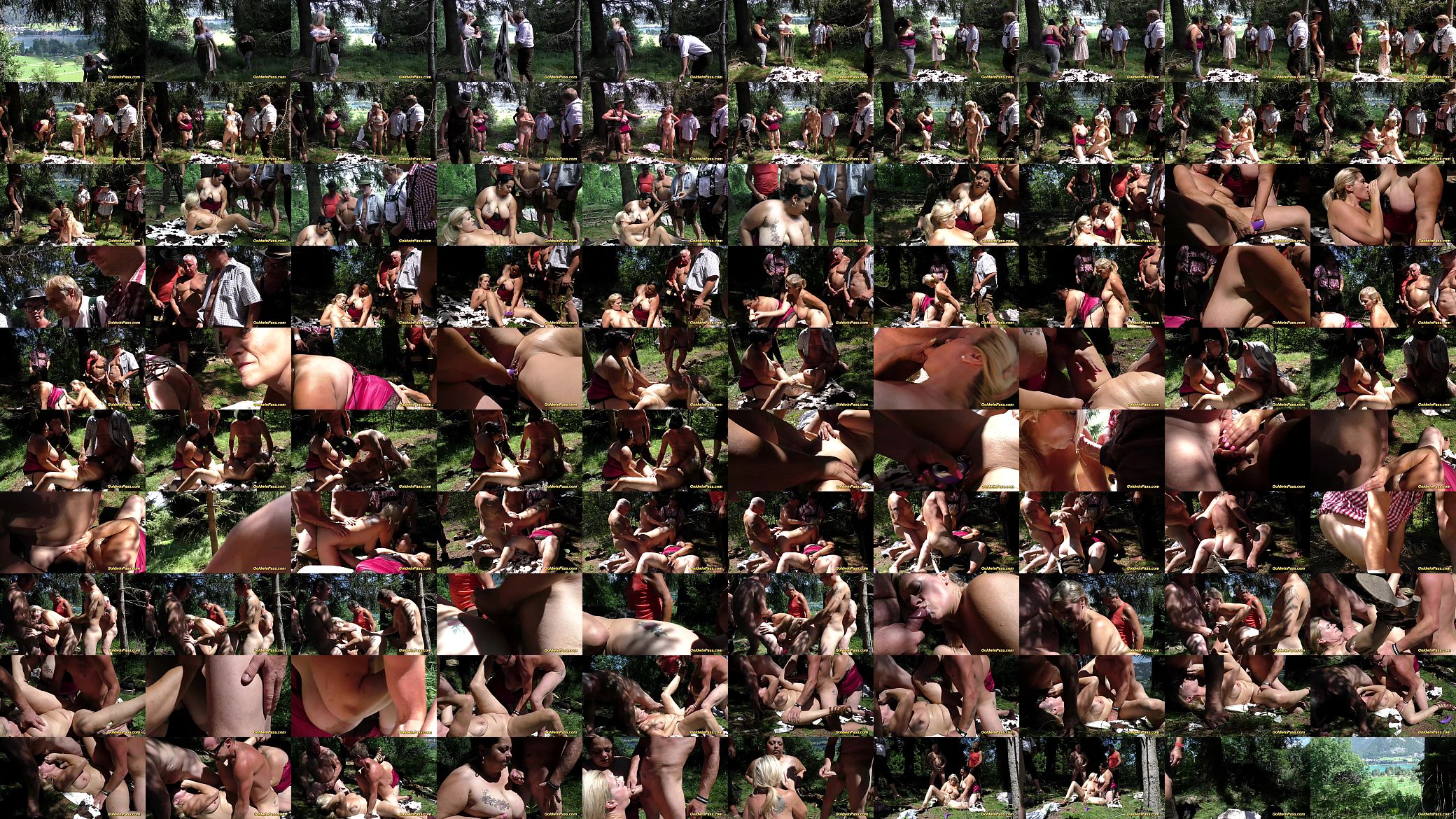 german fat chicks banged in nature 预览图