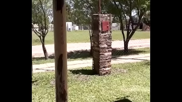 Vidéo De Vérification