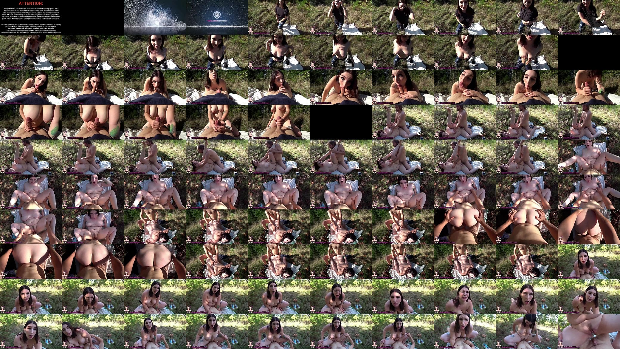 Secluded Outdoor Sex 预览图